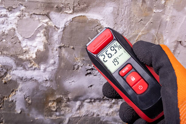 Best Insurance-Related Mold Remediation in Red Oak, TX