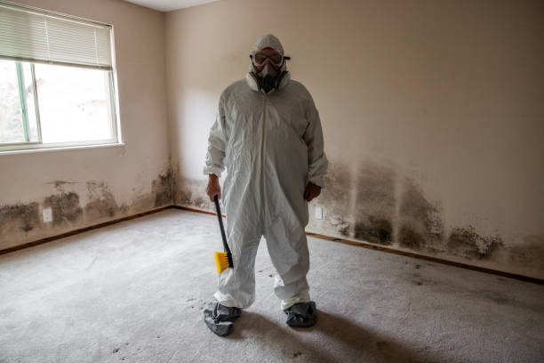 Best Industrial Mold Remediation in Red Oak, TX