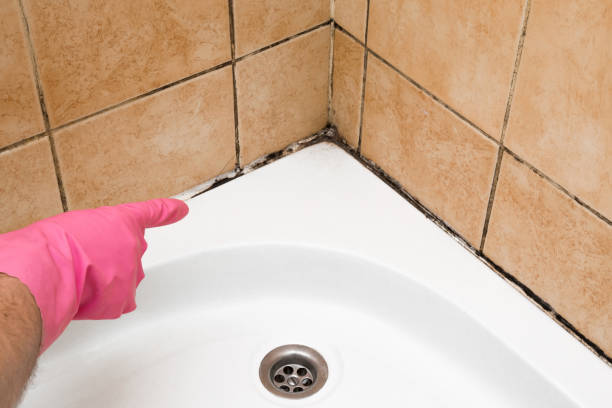 Best Crawl Space Mold Remediation in Red Oak, TX